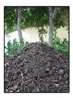 Organic Manure